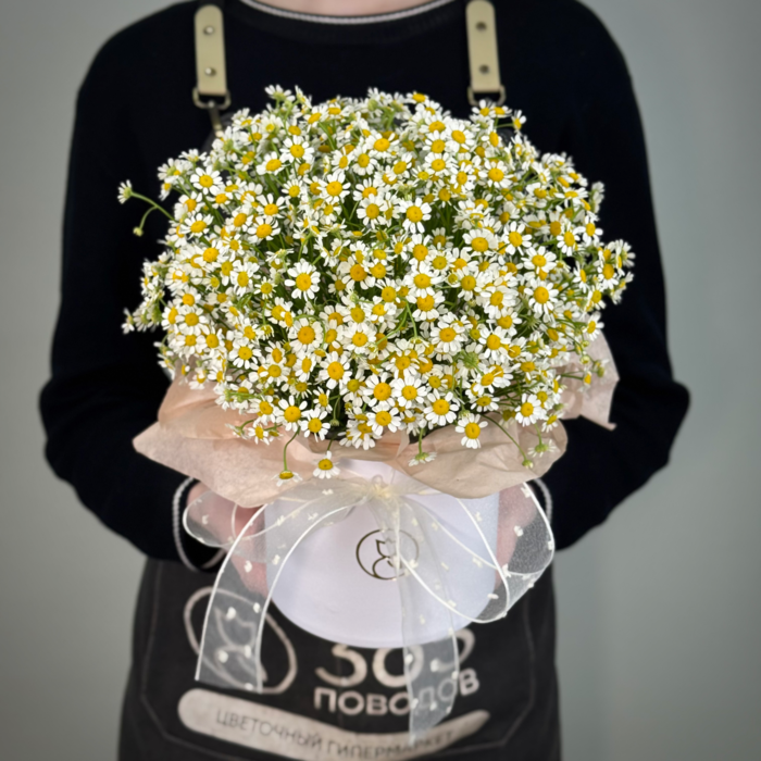 Ромашка в шляпной коробке S