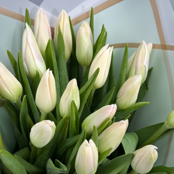 Букет из 21 белых тюльпанов