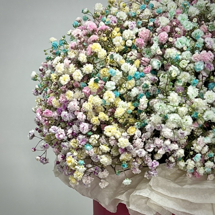 Цветы в коробке Радуга L