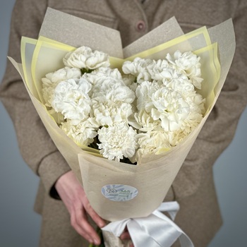 Букет из 25 белых гвоздик