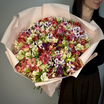 Букет из 101 альстромерий микс