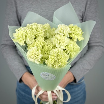 Букет из 15 фисташковых гвоздик