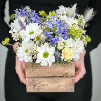 Цветы в ящике Жаклин