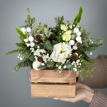 Цветы в ящике Снегурочка