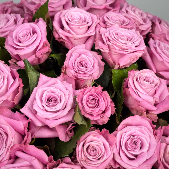 51 фиолетовая роза в корзине