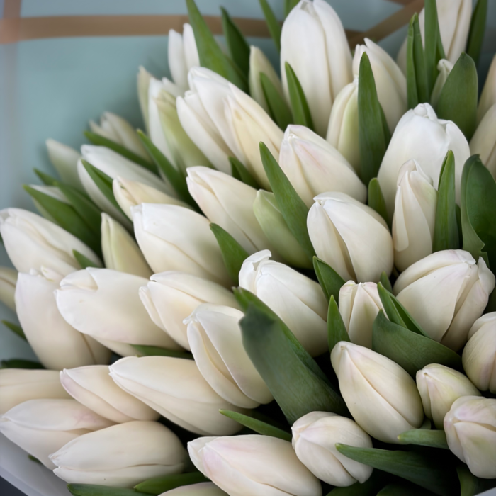 Букет из 71 белых тюльпанов
