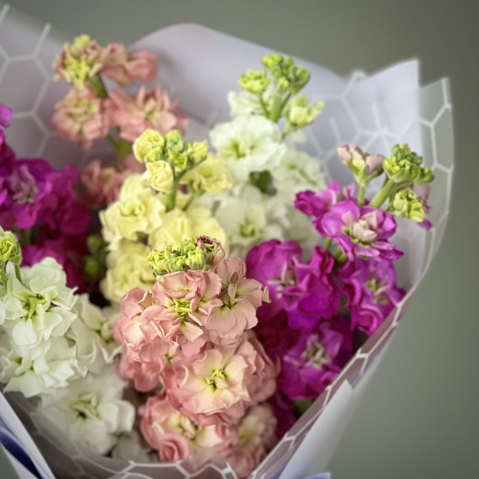 Букет из 7 маттиол микс