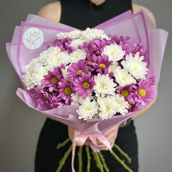 Букет из 11 кустовых хризантем