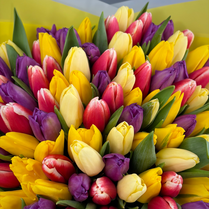 Букет из 101 тюльпанов яркий микс
