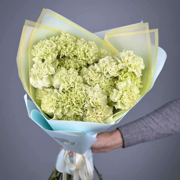 Букет из 25 фисташковых гвоздик