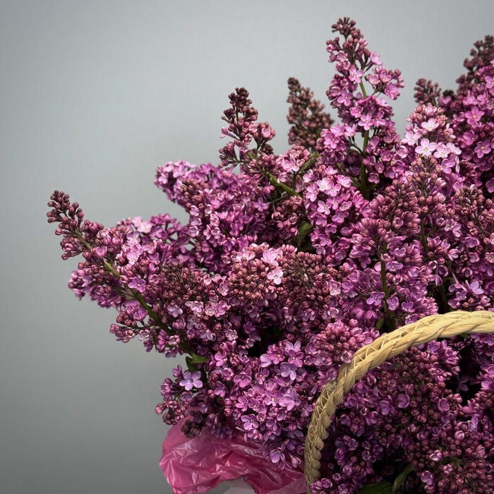 Цветы в корзине Сирень