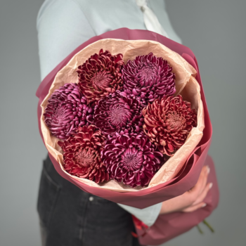 Букет из 7 хризантем бигудей микс